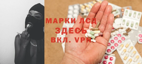 ECSTASY Богородицк