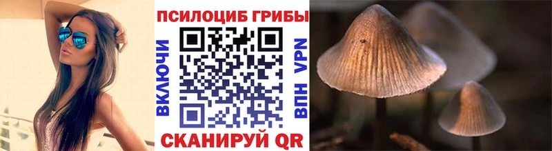 Купить где  Мыски  Псилоцибиновые грибы MAGIC MUSHROOMS 