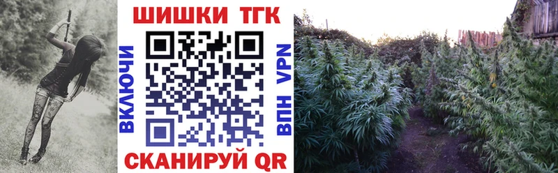 Купить где  Мыски  Бошки Шишки гибрид 
